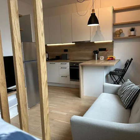 Apartment Vinice House *
